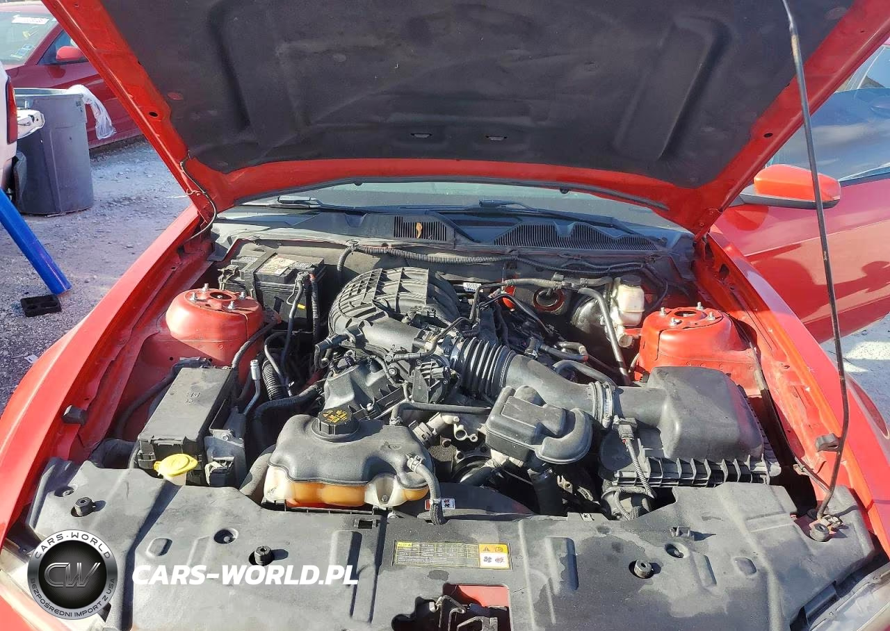 2013 Ford Mustang VIN:1ZVBP8AM3D5204298 - 11