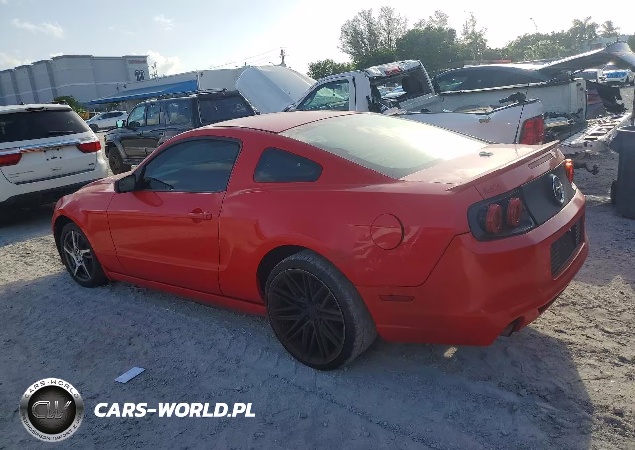 2013 Ford Mustang VIN:1ZVBP8AM3D5204298 - 2