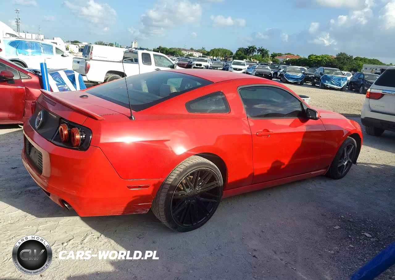 2013 Ford Mustang VIN:1ZVBP8AM3D5204298 - 3