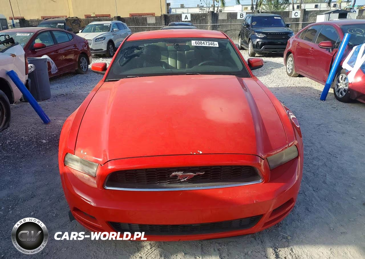 2013 Ford Mustang VIN:1ZVBP8AM3D5204298 - 5