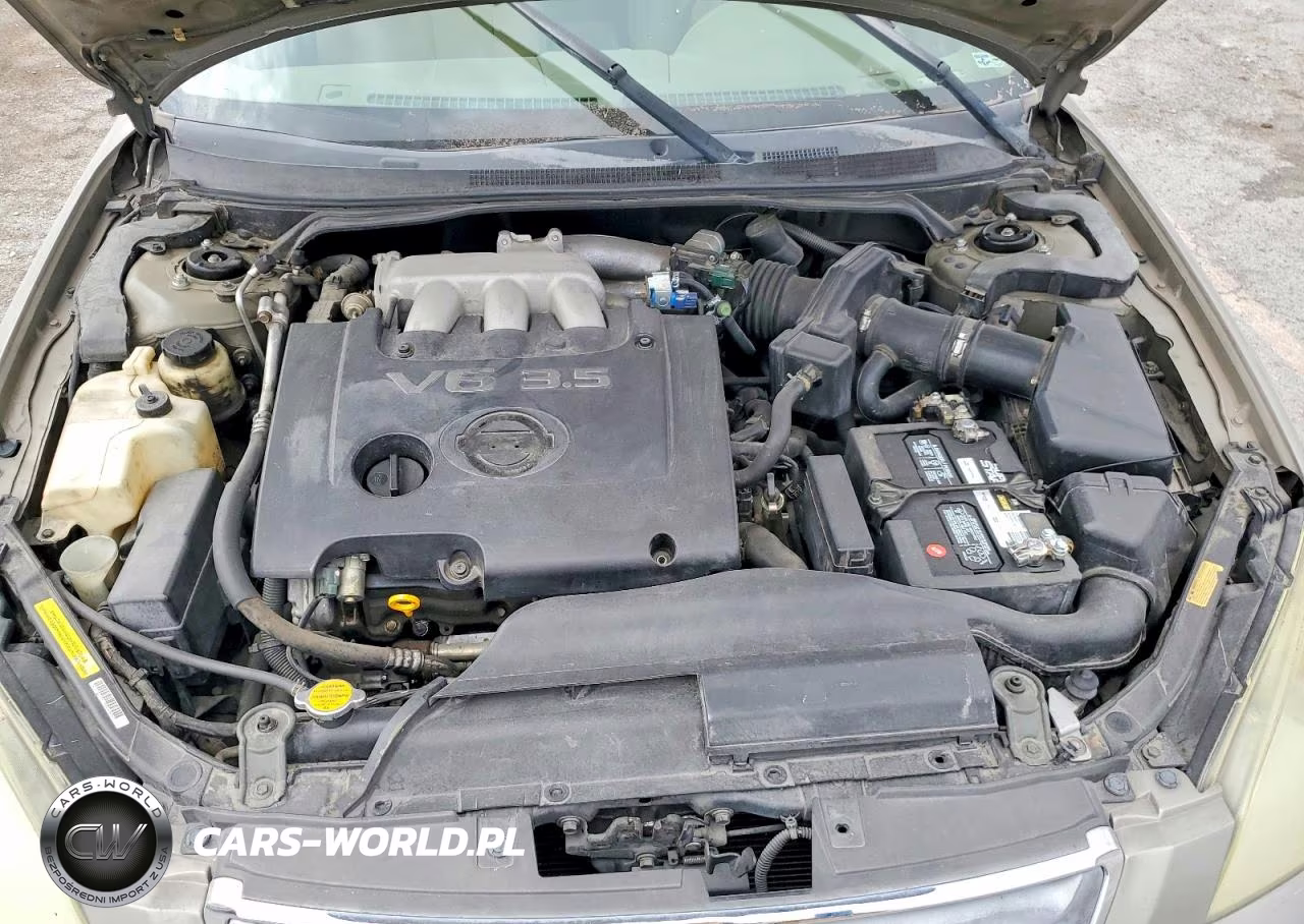 2003 Nissan Altima Se VIN:1N4BL11D13C222241 - 11