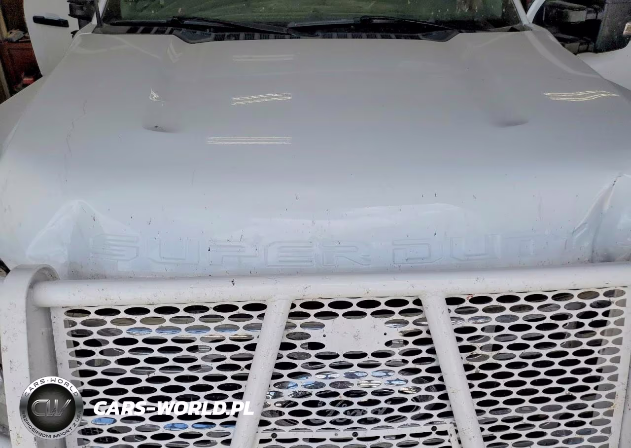 2024 Ford F250 Super Duty VIN:1FT7W2BN8REC39989 - 11