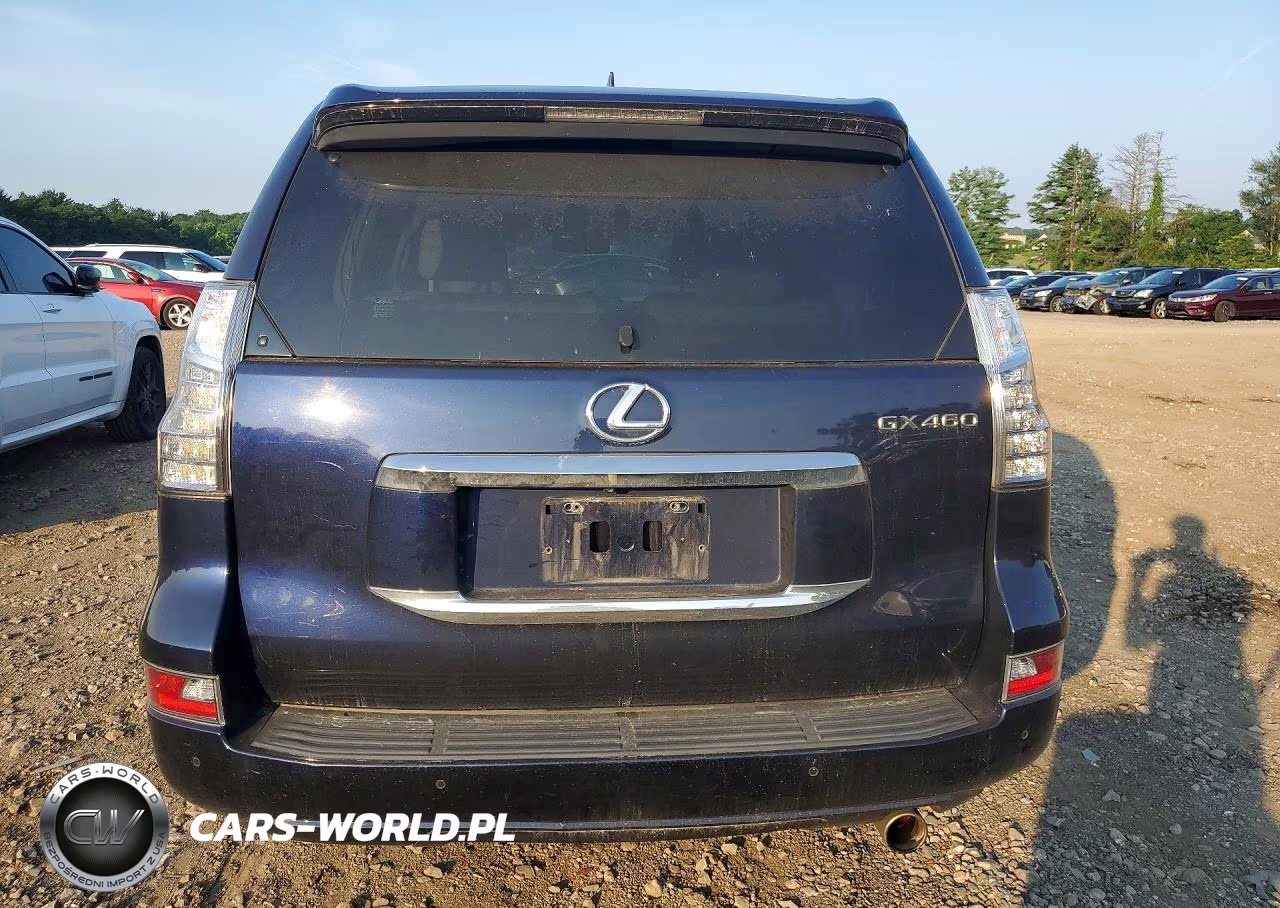 2018 Lexus Gx 460 VIN:JTJBM7FX4J5193913 - 6