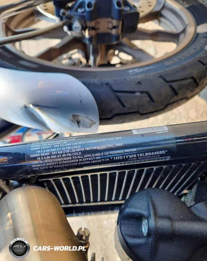 2020 Harley-Davidson Fxlrs VIN:1HD1YWK18LB044695 - 9