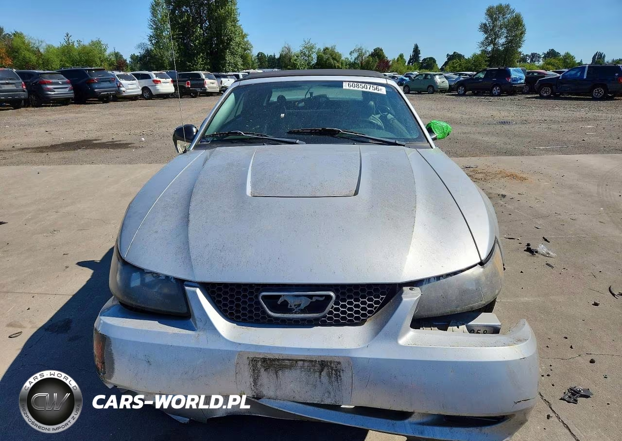 2004 Ford Mustang VIN:1FAFP44674F229814 - 5