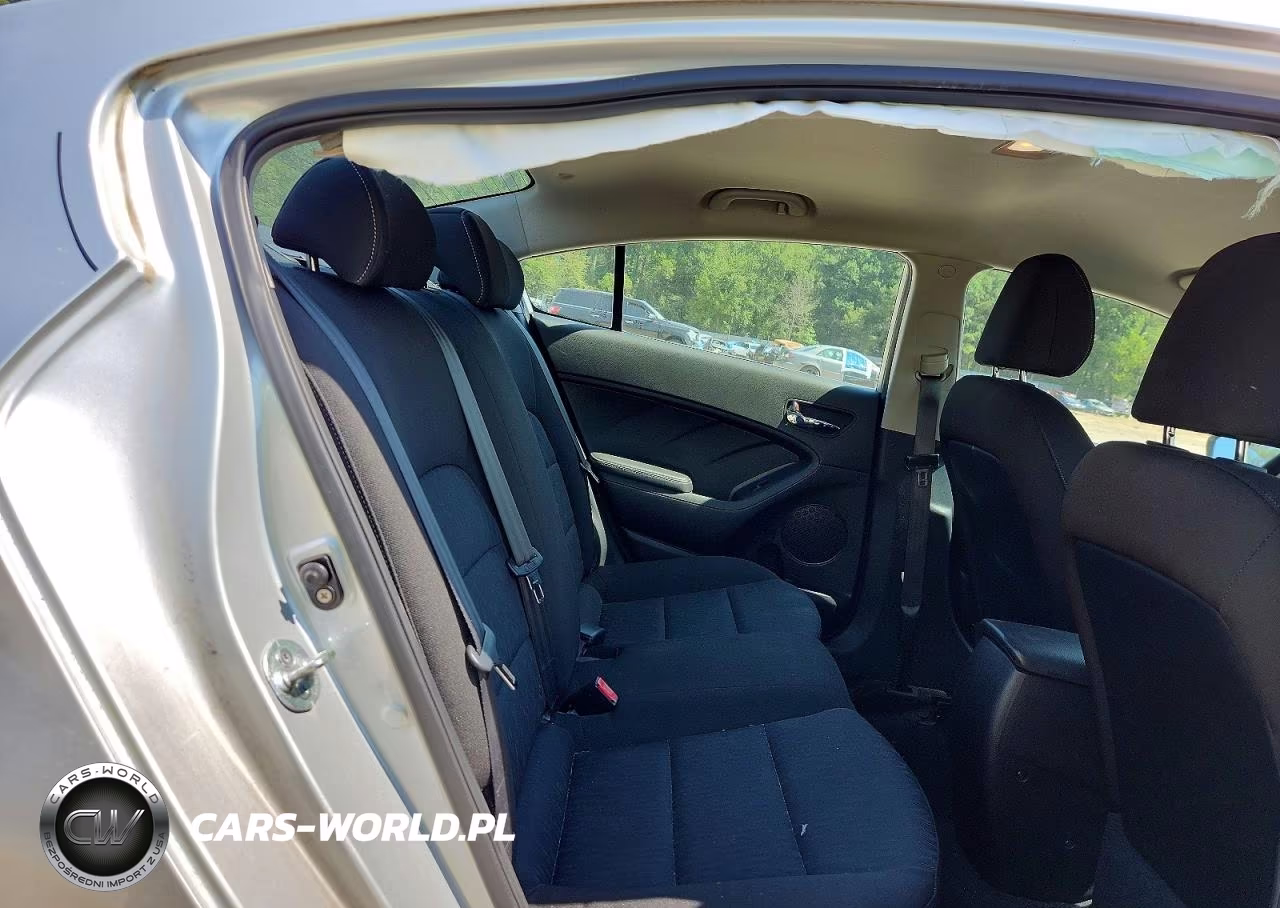 2014 Kia Forte Lx VIN:KNAFK4A62E5066829 - 10