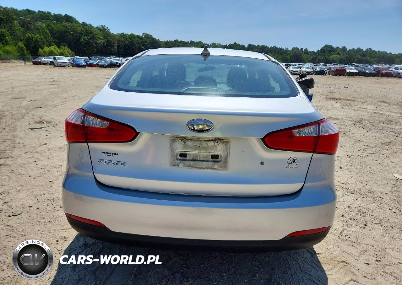 2014 Kia Forte Lx VIN:KNAFK4A62E5066829 - 6