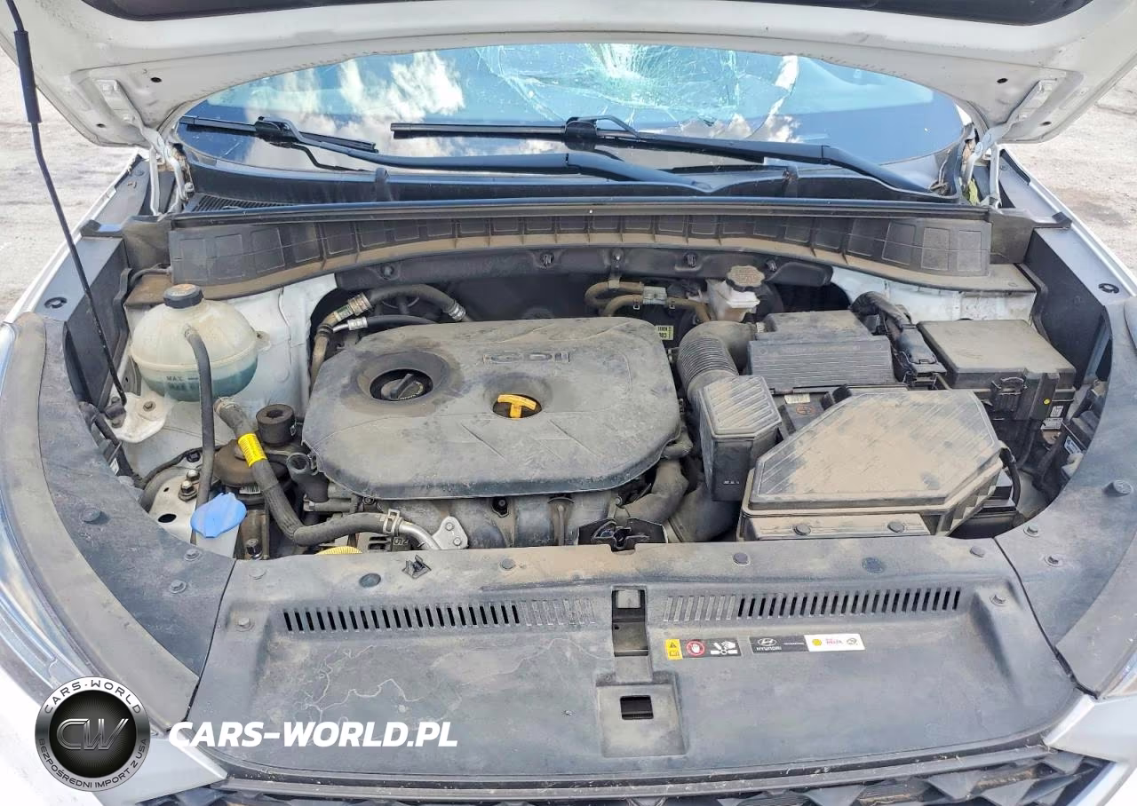 2019 Hyundai Tucson Value VIN:KM8J33A45KU044095 - 12