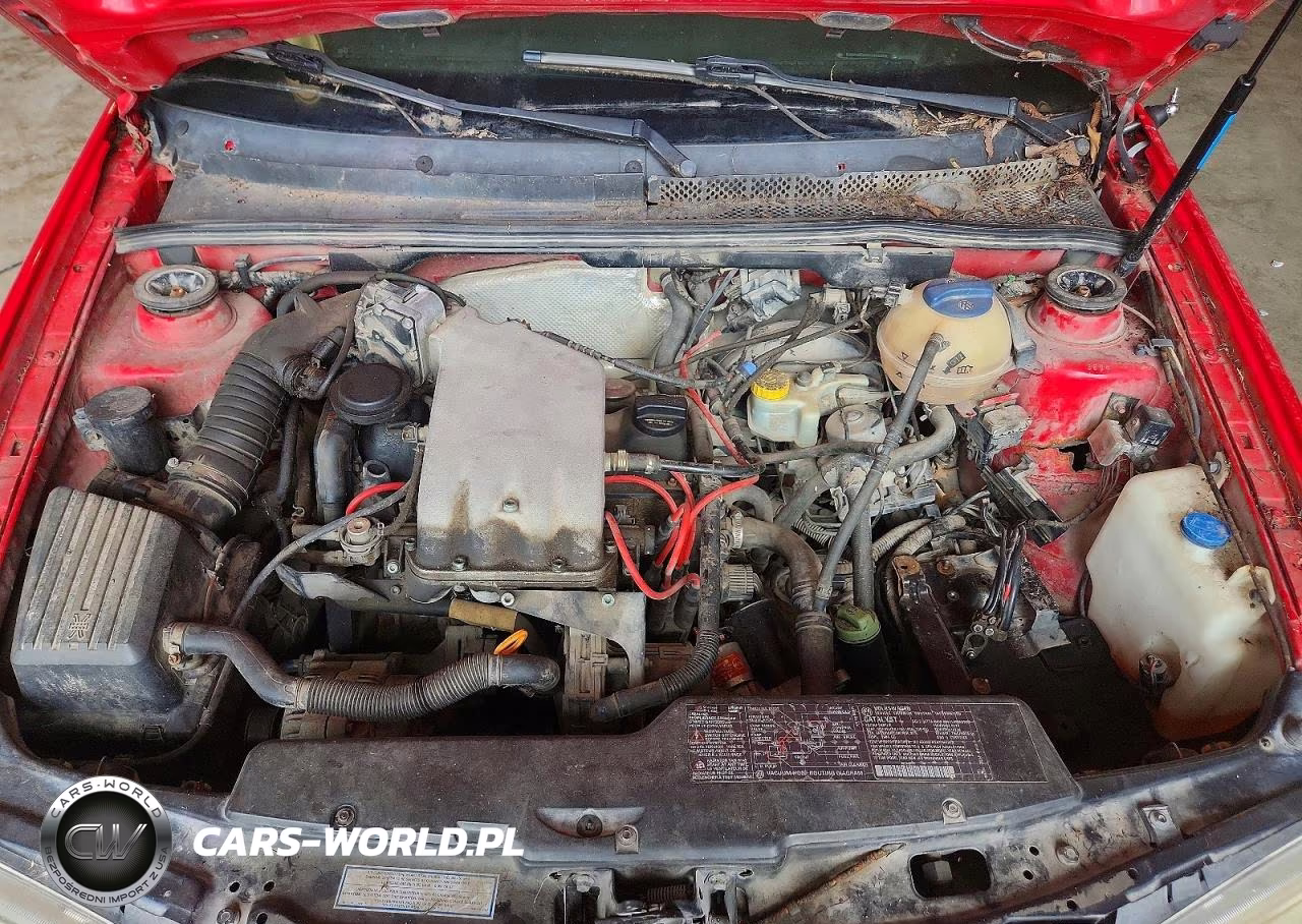 2000 Volkswagen Cabrio Gls VIN:3VWDC21V5YM803875 - 11