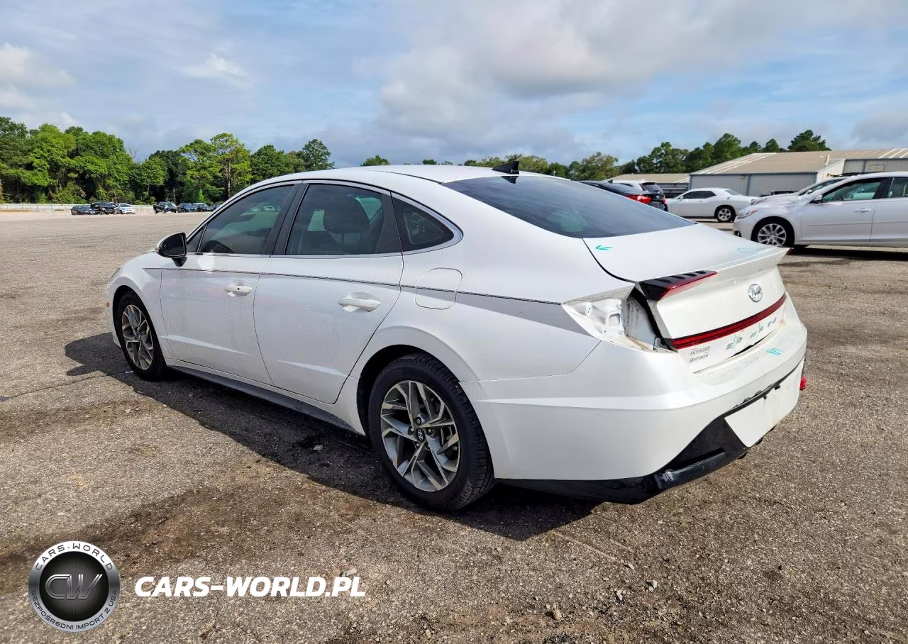 2020 Hyundai Sonata Sel VIN:5NPEL4JA4LH028113 - 2