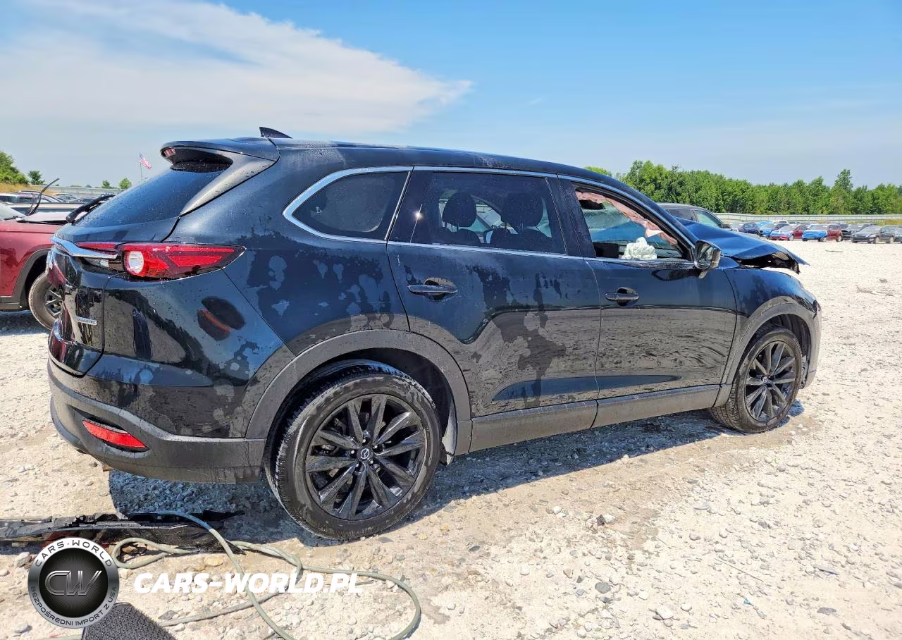 2023 Mazda Cx-9 Touring Plus VIN:JM3TCBAY9P0656445 - 3