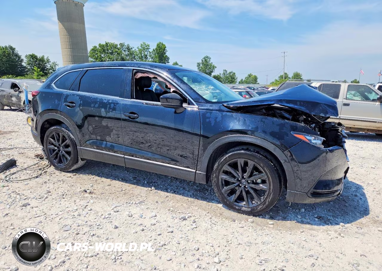 2023 Mazda Cx-9 Touring Plus VIN:JM3TCBAY9P0656445 - 4