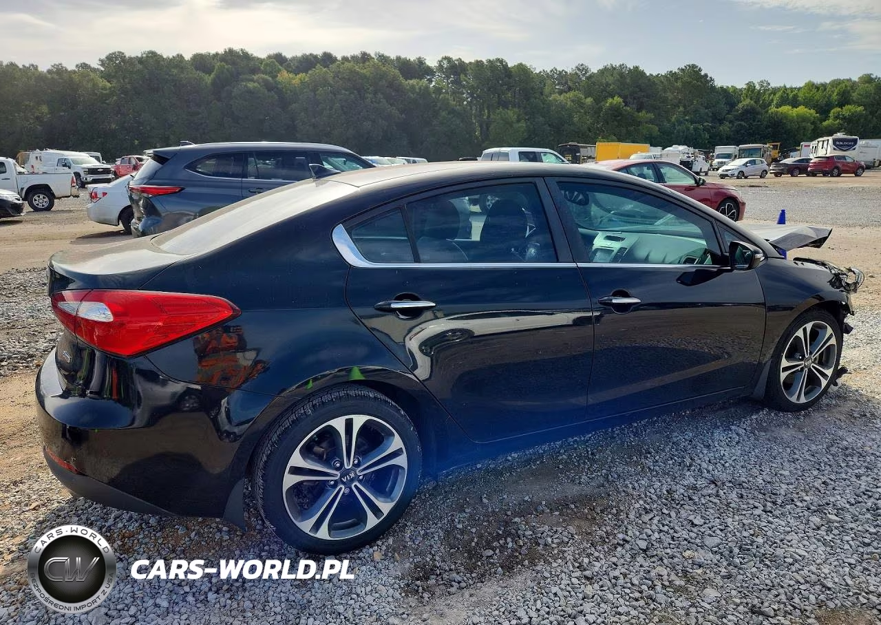 2015 Kia Forte Ex VIN:KNAFZ4A80F5374435 - 3