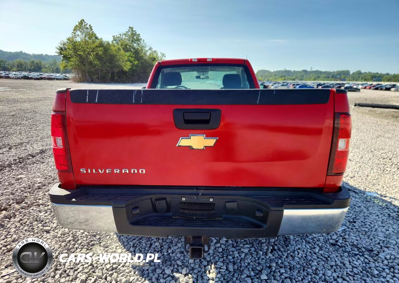 2010 Chevrolet Silverado K2500 Heavy Duty VIN:1GC3KVBG3AF142730 - 6