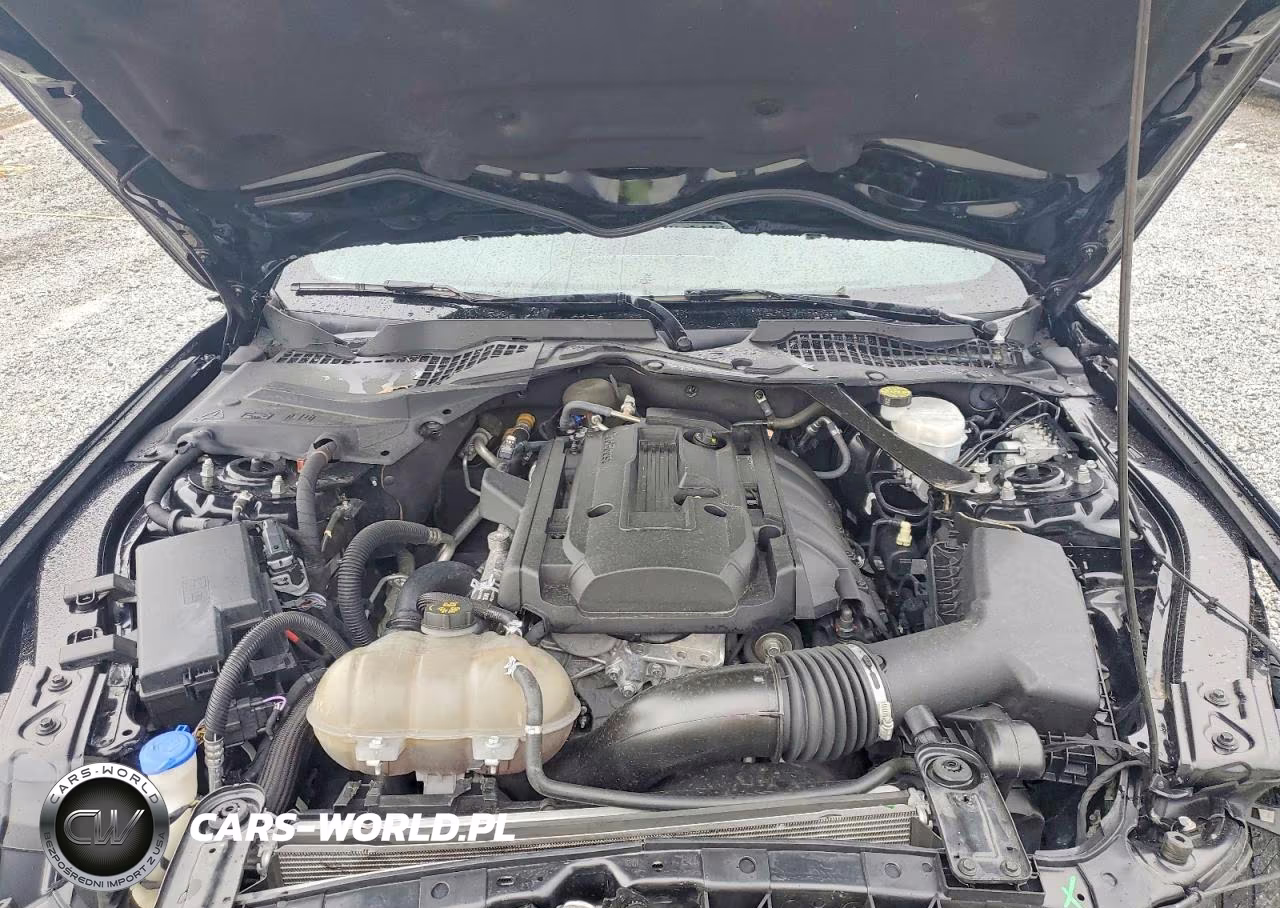 2020 Ford Mustang VIN:1FATP8UH9L5134977 - 11