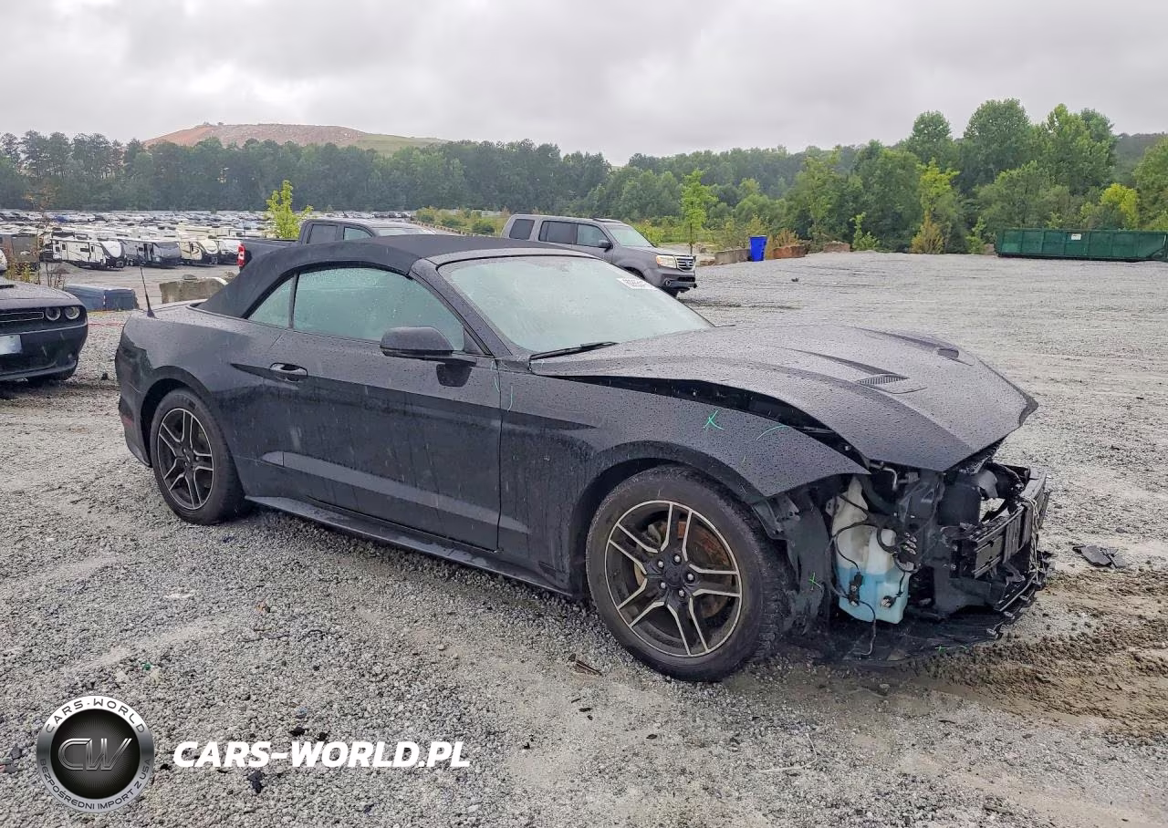 2020 Ford Mustang VIN:1FATP8UH9L5134977 - 4