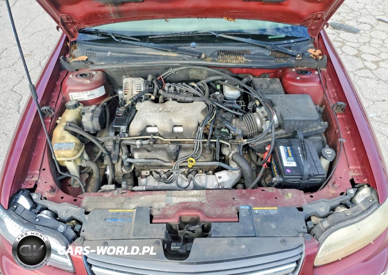 2003 Chevrolet Malibu VIN:1G1ND52J53M689214 - 11