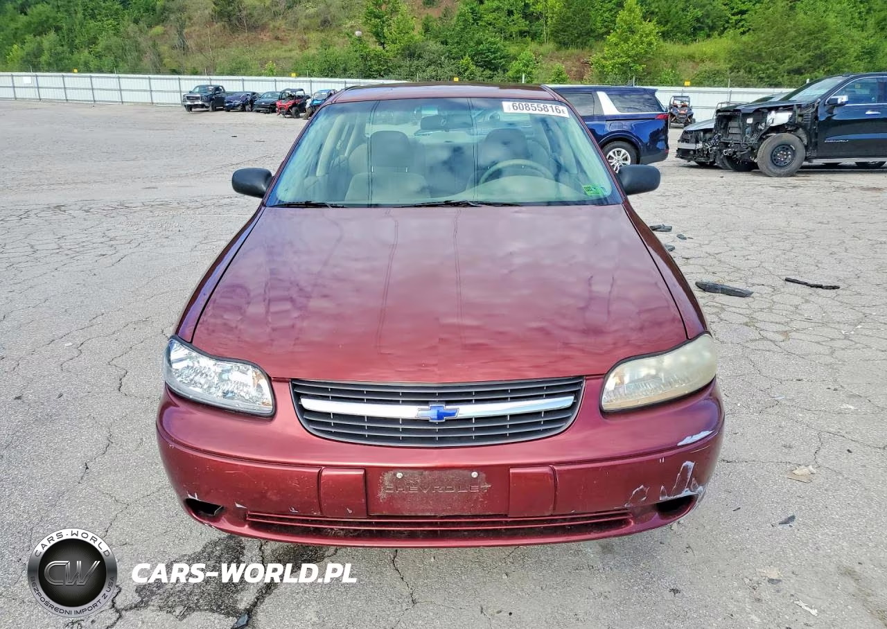 2003 Chevrolet Malibu VIN:1G1ND52J53M689214 - 5