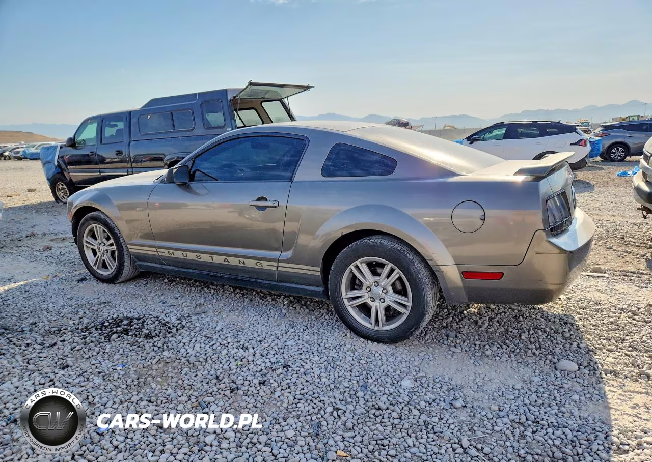 2005 Ford Mustang VIN:1ZVFT80N655238566 - 2
