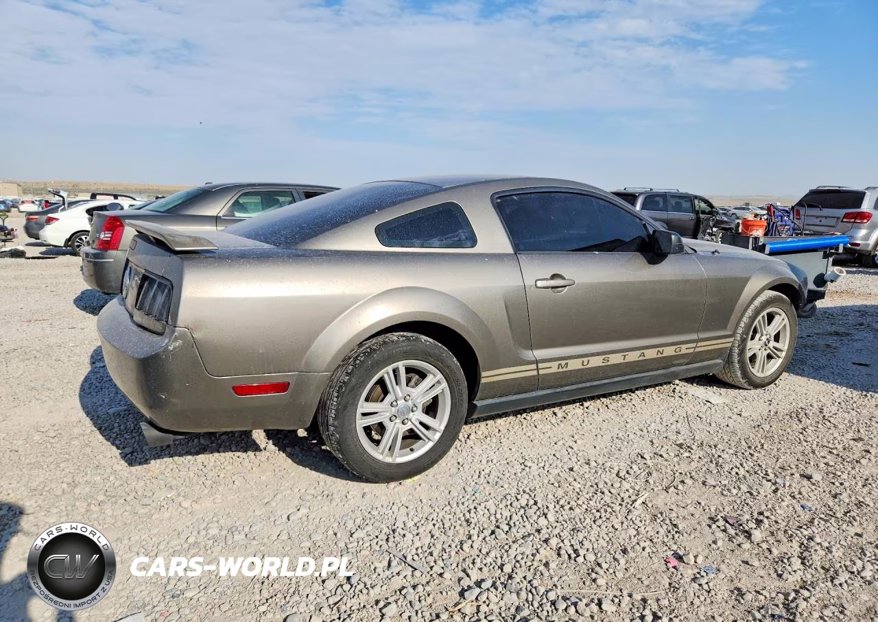 2005 Ford Mustang VIN:1ZVFT80N655238566 - 3