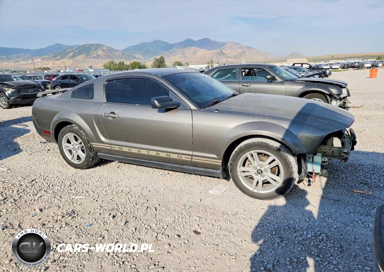 2005 Ford Mustang VIN:1ZVFT80N655238566 - 4