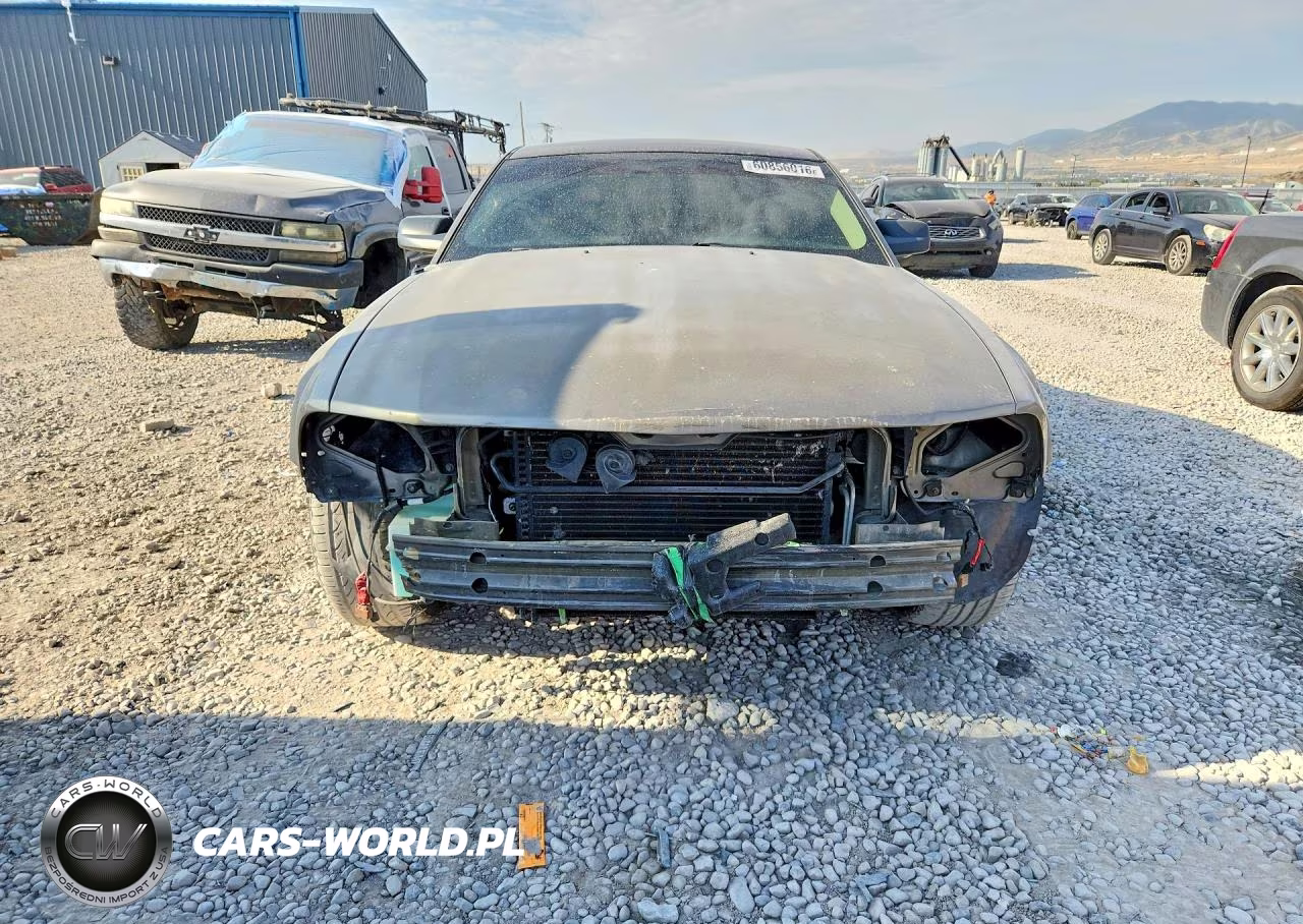 2005 Ford Mustang VIN:1ZVFT80N655238566 - 5