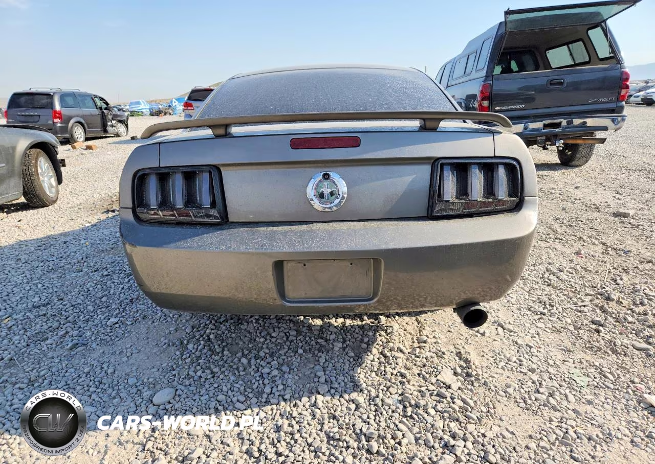 2005 Ford Mustang VIN:1ZVFT80N655238566 - 6