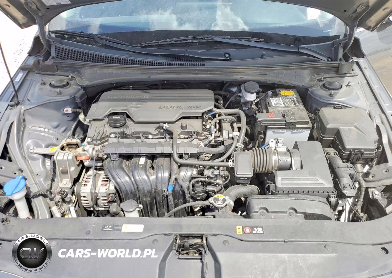 2024 Hyundai Elantra Sel VIN:KMHLS4DG4RU646245 - 11