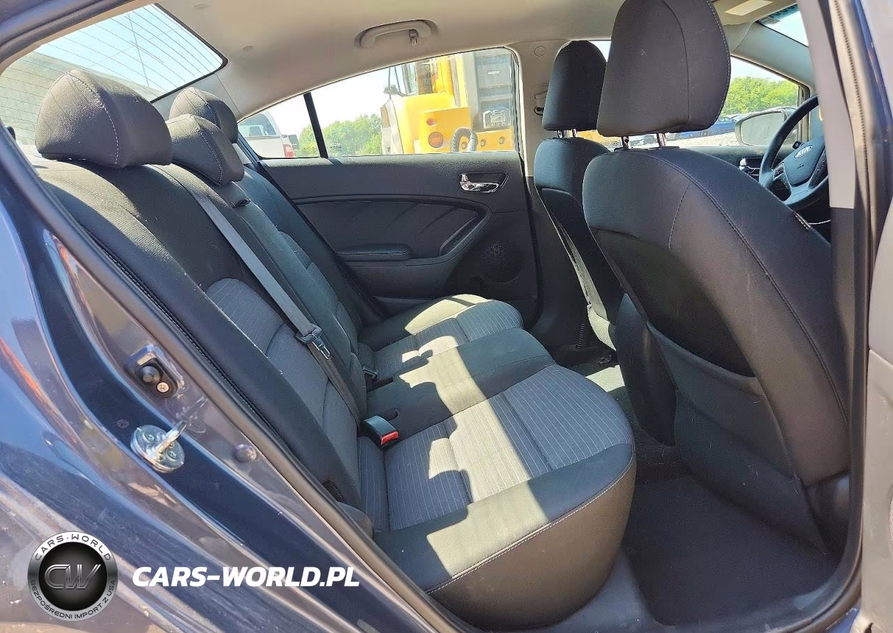 2015 Kia Forte Lx VIN:KNAFX4A68F5357306 - 10