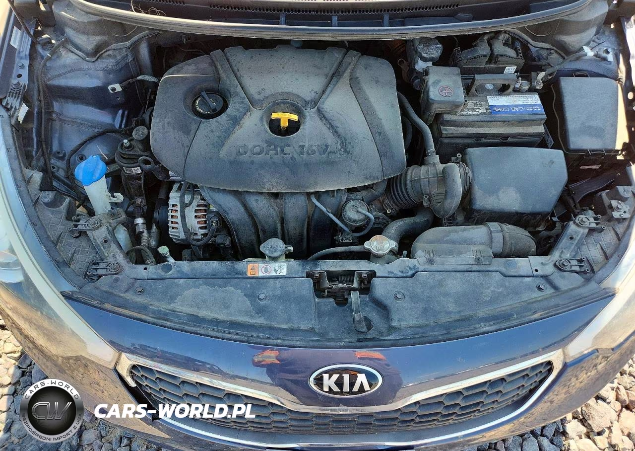 2015 Kia Forte Lx VIN:KNAFX4A68F5357306 - 11