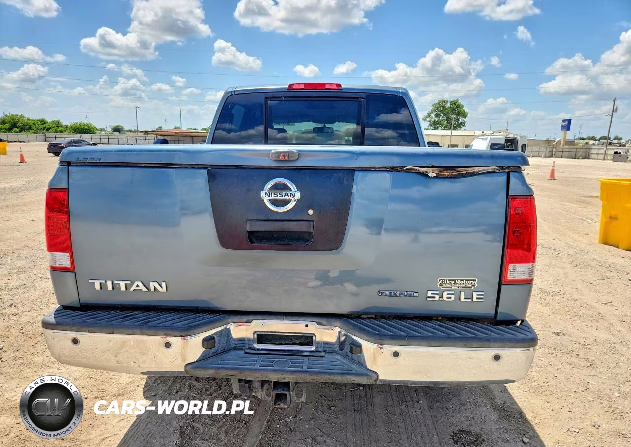 2010 Nissan Titan Xe VIN:1N6BA0ED6AN304081 - 6