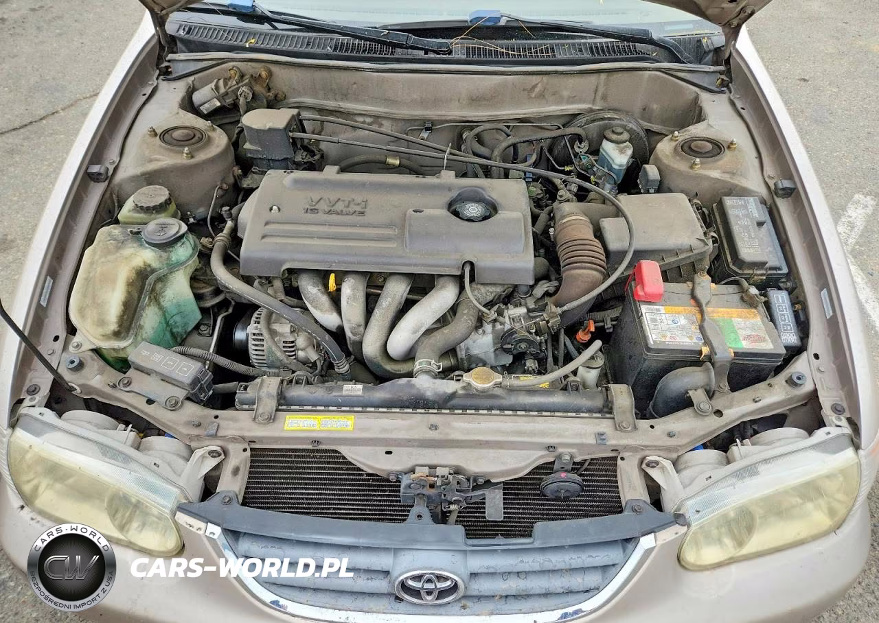 2002 Toyota Corolla Le VIN:1NXBR12E32Z618840 - 11