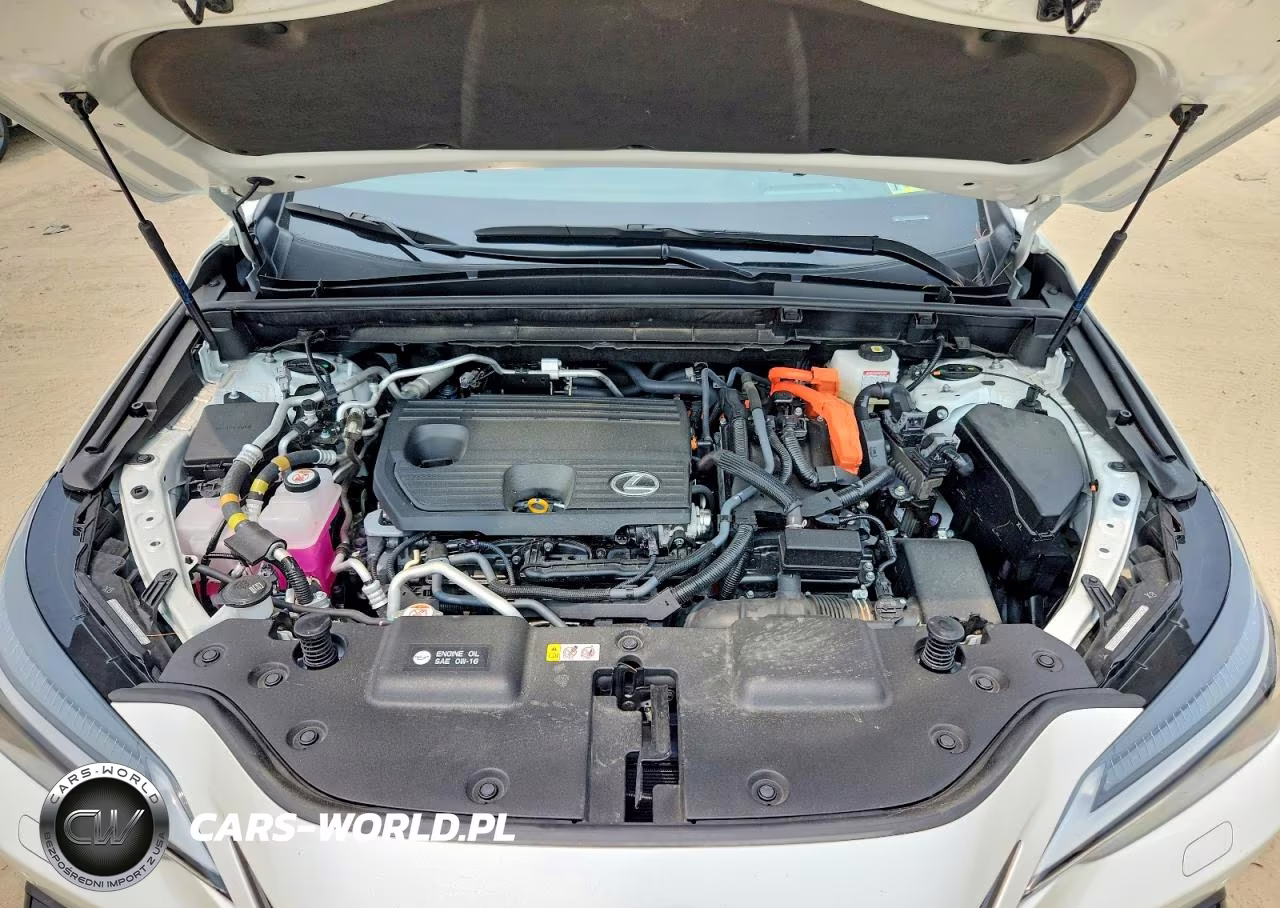 2025 Lexus Nx 450H+ Base VIN:JTJHKCFZ7S2042366 - 12