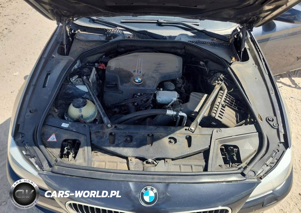 2013 BMW 528Xi VIN:WBAXH5C54DD110010 - 11