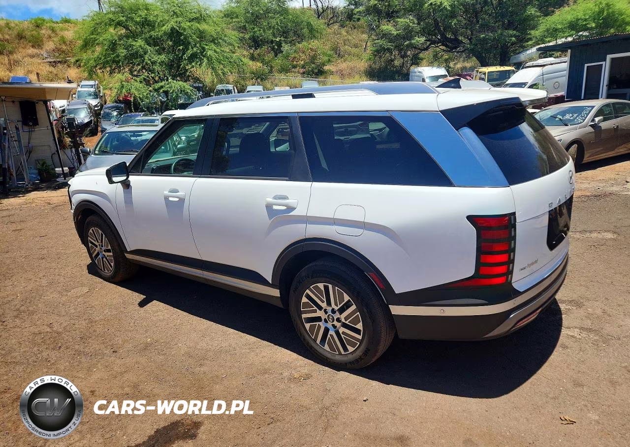 2026 Hyundai Palisade Blue Sel Premium VIN:KM8RH5SA6TU077161 - 2