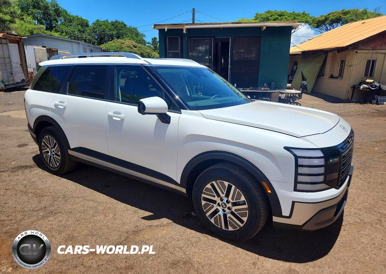 2026 Hyundai Palisade Blue Sel Premium VIN:KM8RH5SA6TU077161 - 4
