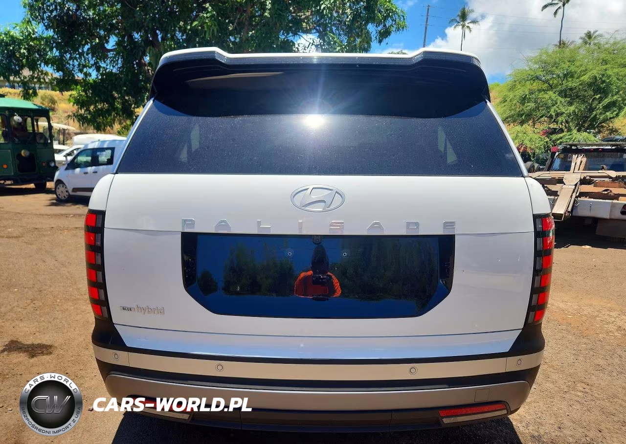 2026 Hyundai Palisade Blue Sel Premium VIN:KM8RH5SA6TU077161 - 6