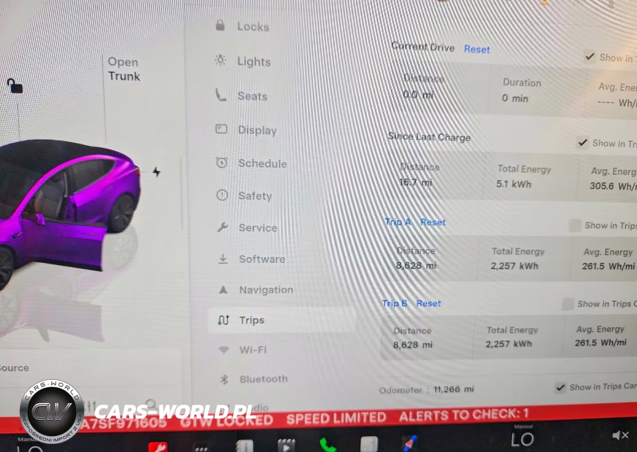 2025 Tesla Model 3 VIN:5YJ3E1EA7SF971605 - 9