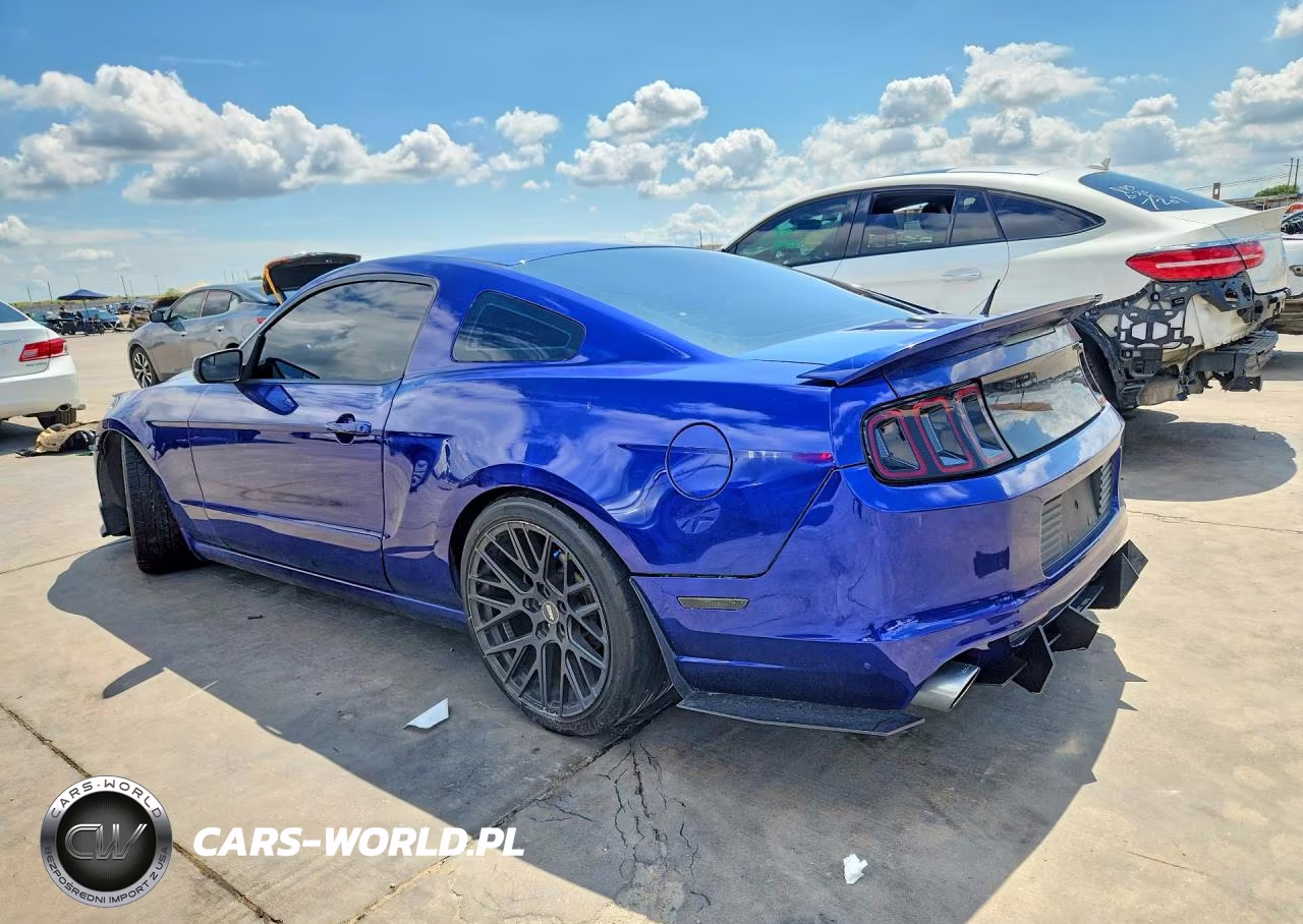 2013 Ford Mustang VIN:1ZVBP8AM0D5251191 - 2