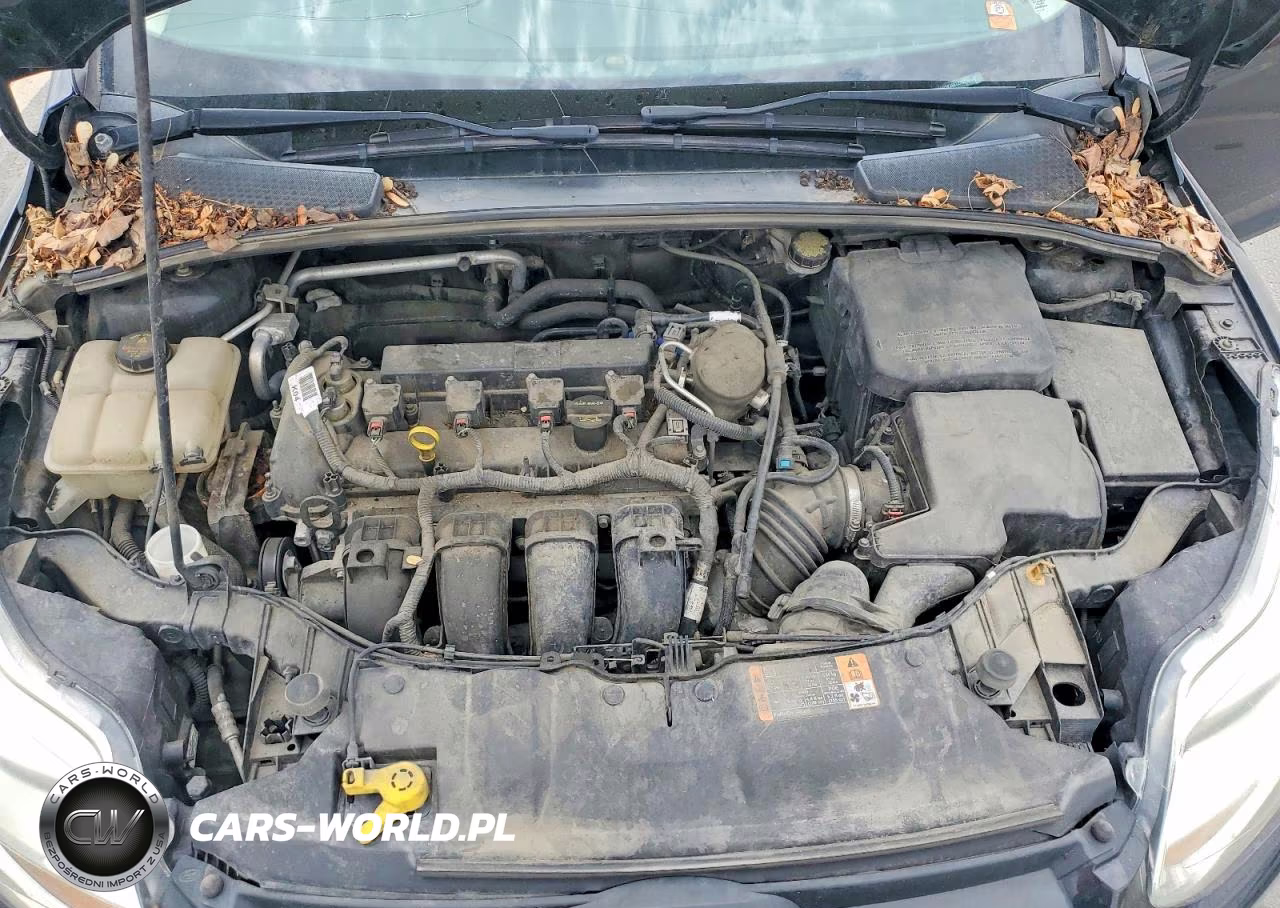 2014 Ford Focus Se VIN:1FADP3K20EL278258 - 11