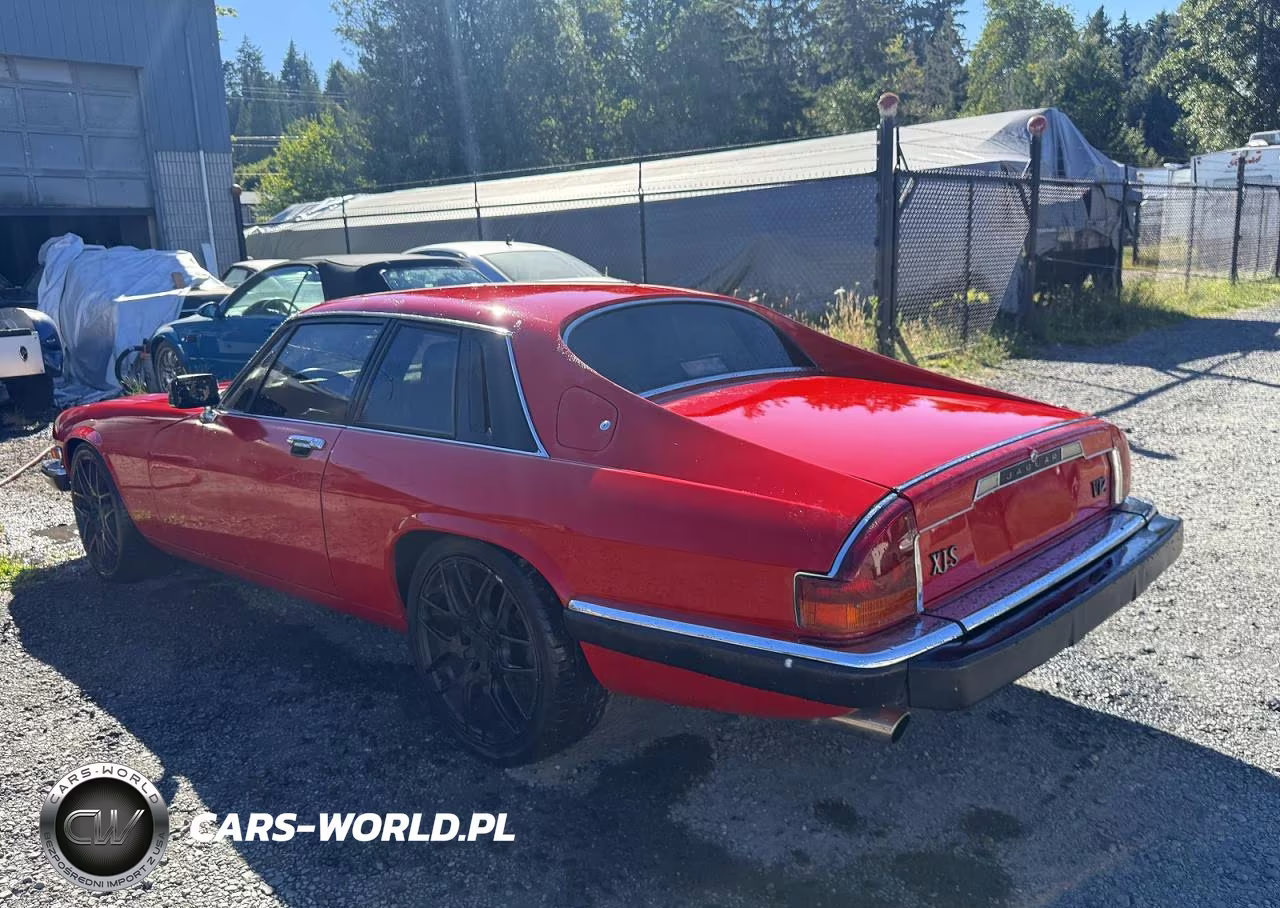 1989 Jaguar Xjs VIN:SAJNA5841KC151312 - 3