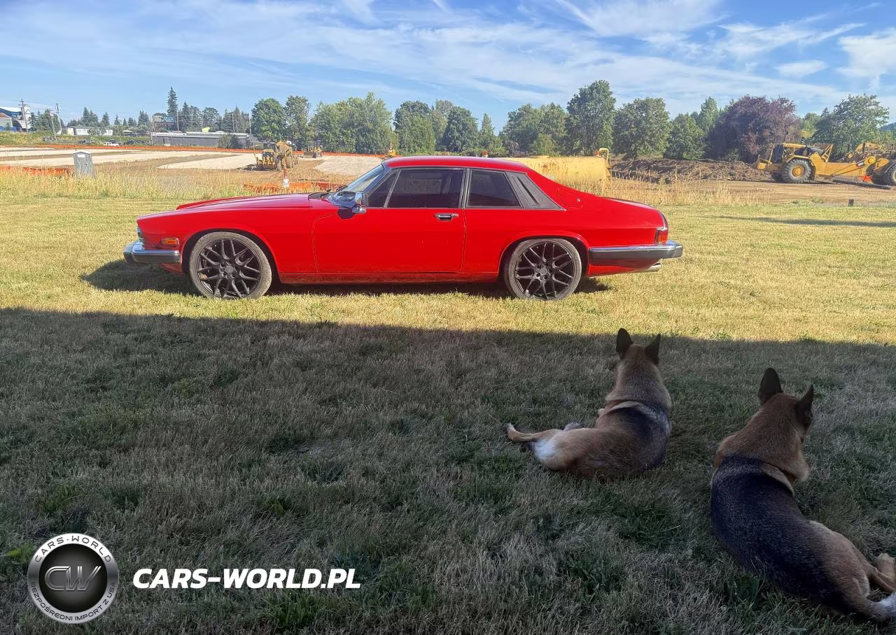 1989 Jaguar Xjs VIN:SAJNA5841KC151312 - 9