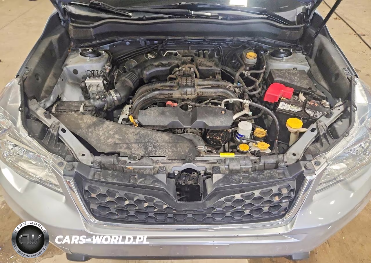 2014 Subaru Forester 2.5I VIN:JF2SJAAC2EH438534 - 12