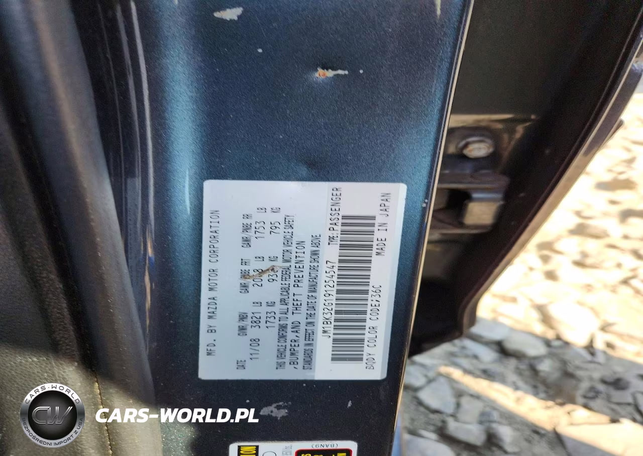 2009 Mazda 3 I VIN:JM1BK32G191254547 - 12