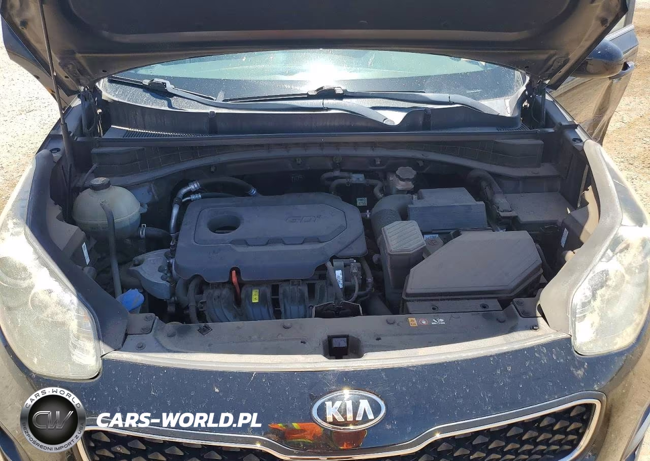 2019 Kia Sportage Lx VIN:KNDPM3ACXK7508211 - 11