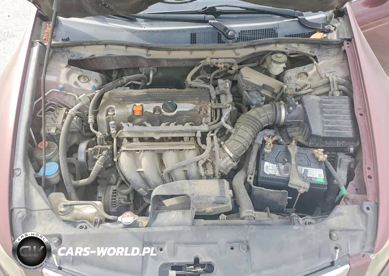 2009 Honda Accord Lxp VIN:1HGCP26459A045829 - 11
