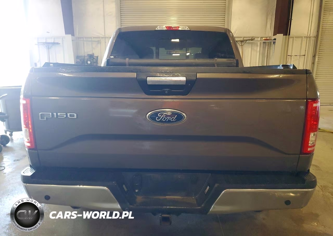 2017 Ford F150 Supercrew VIN:1FTEW1EG4HKD89032 - 6