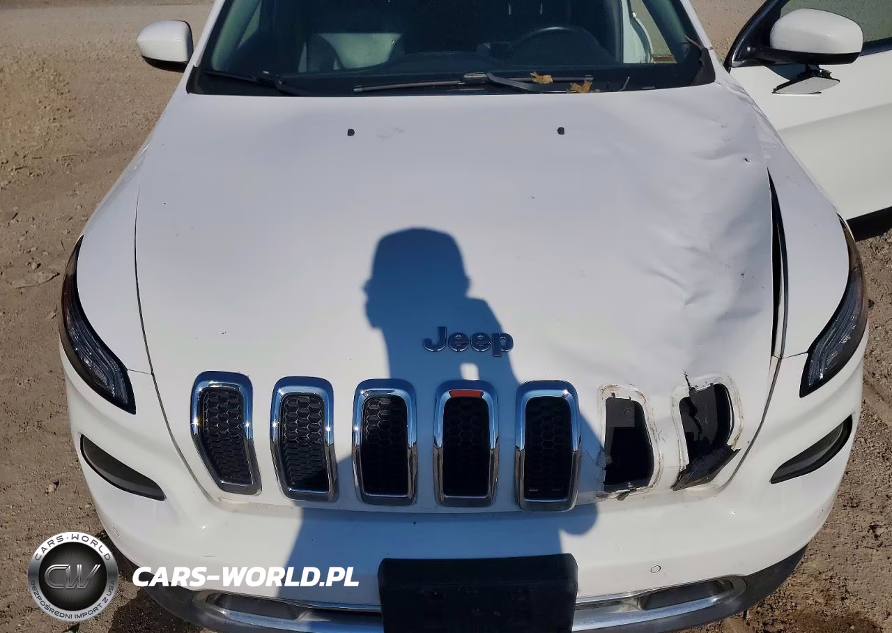 2015 Jeep Cherokee Limited VIN:1C4PJMDS7FW599581 - 11
