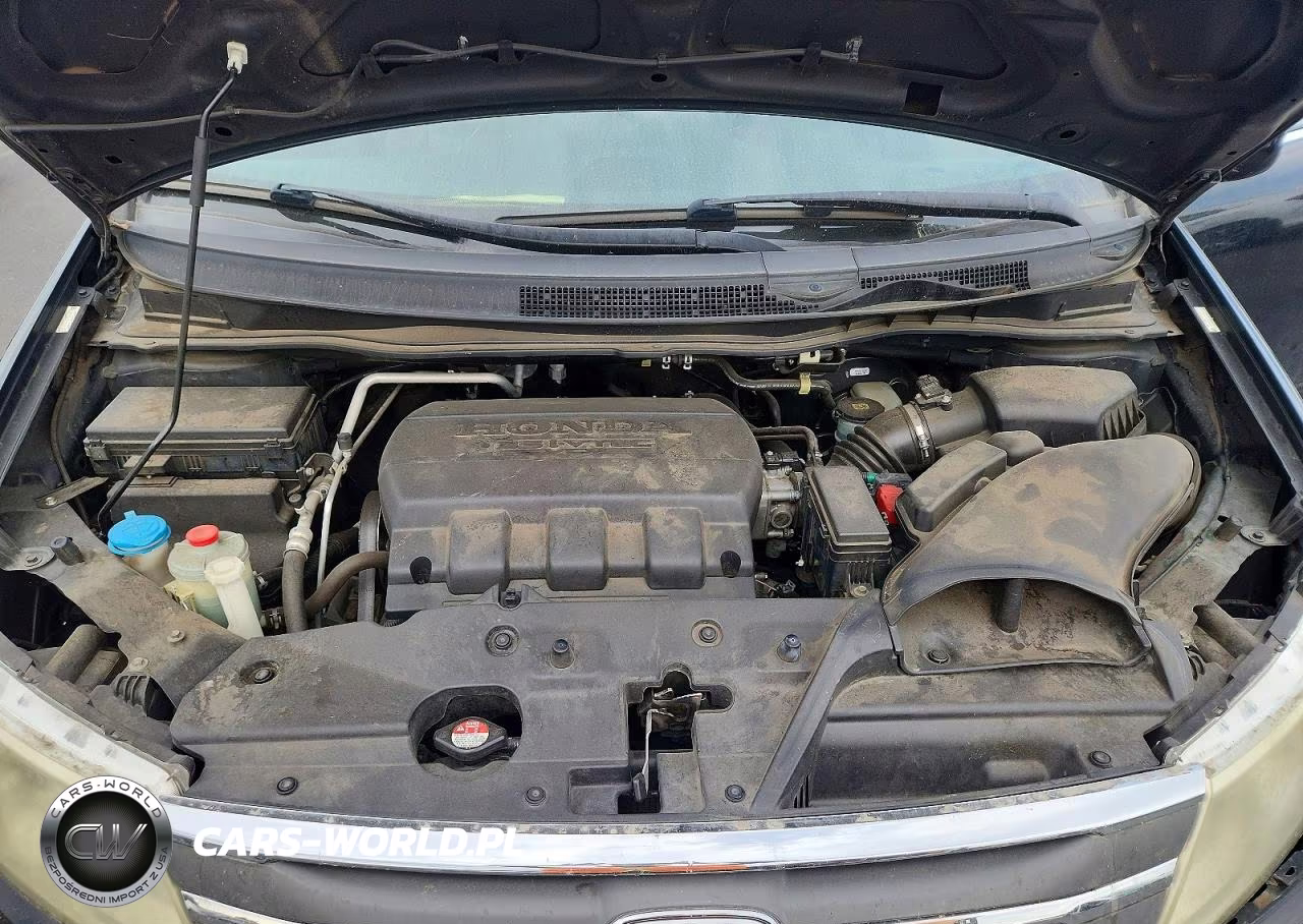 2013 Honda Odyssey Exl VIN:5FNRL5H68DB045909 - 12