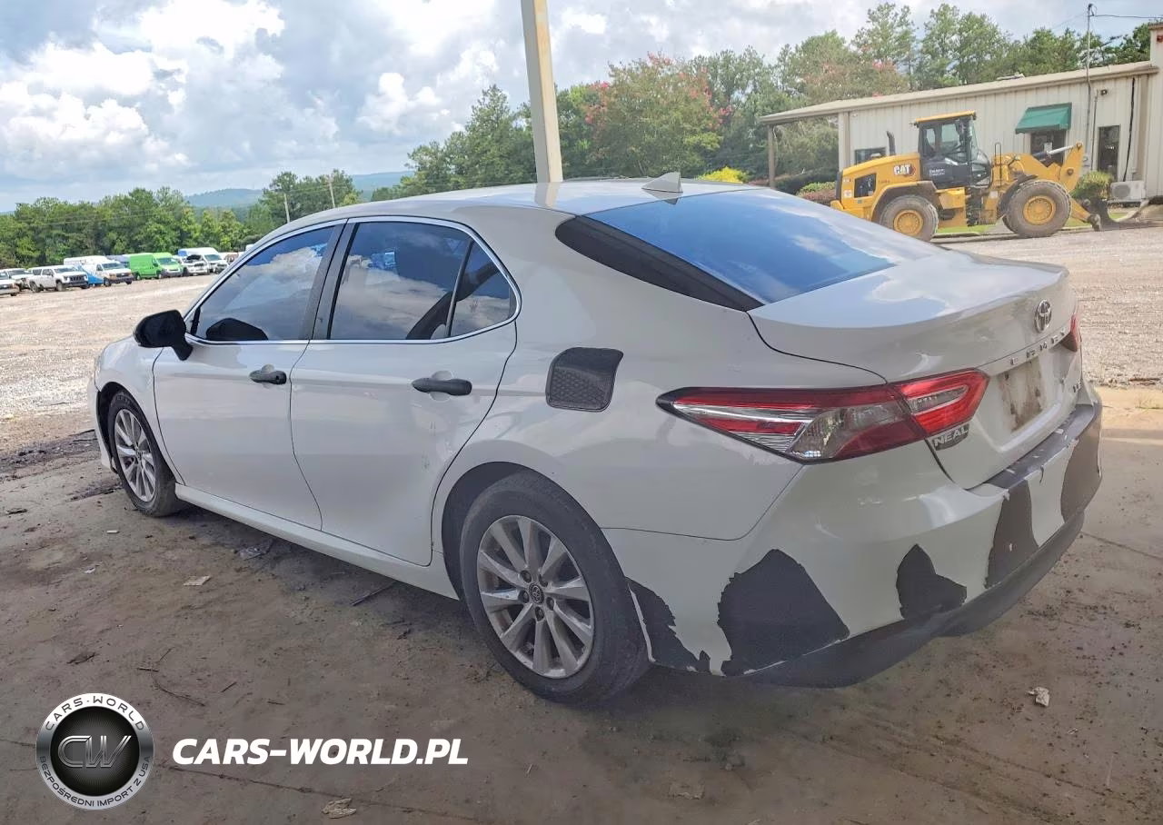 2019 Toyota Camry Le VIN:4T1B11HK1KU790143 - 2